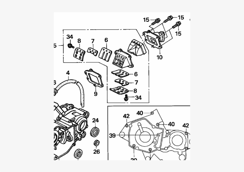 Cr - Honda Cr125r Bearing, Radial Ball (6905z). Required:, transparent png