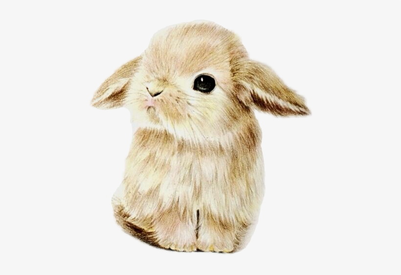 Bunny Iphone Background, transparent png