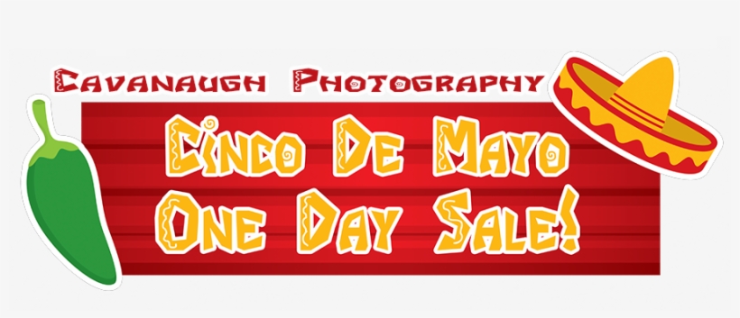 Cinco De Mayo Sale One Day Only - Calligraphy, transparent png