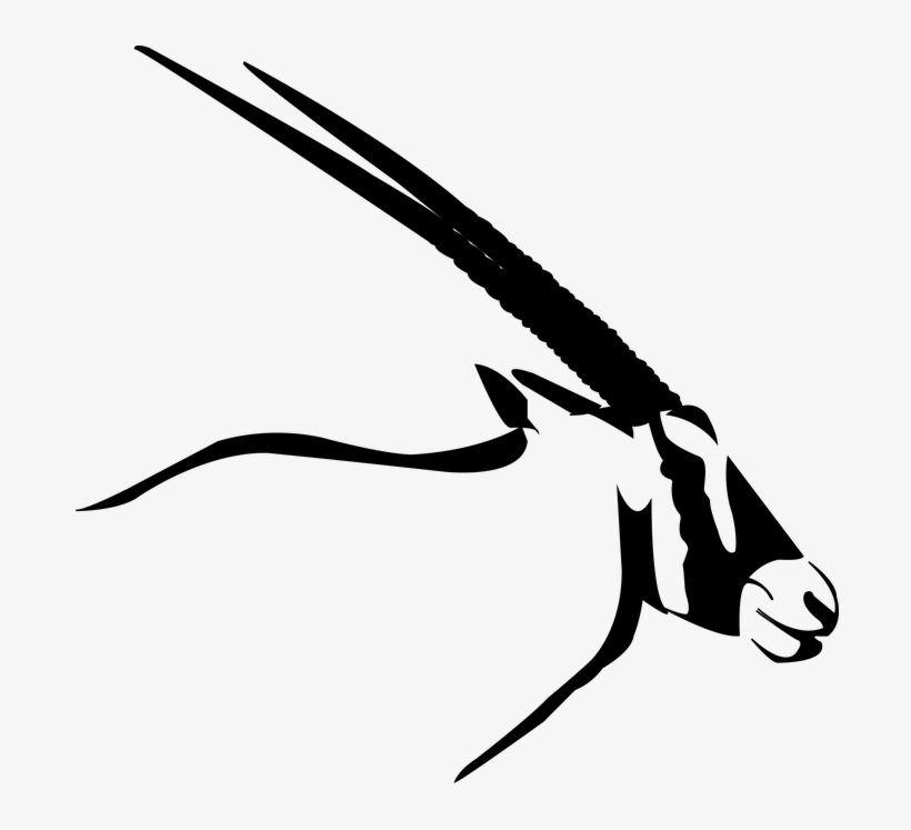 Oryx Clipart African Animal - Oryx Png, transparent png