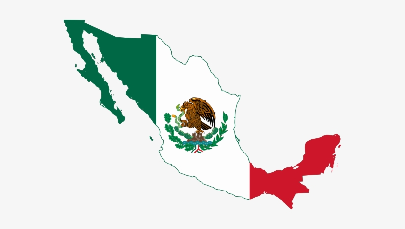 We Celebrated Cinco De Mayo At Home, With A Wonderful - Cinco De Mayo Mexico Flag, transparent png