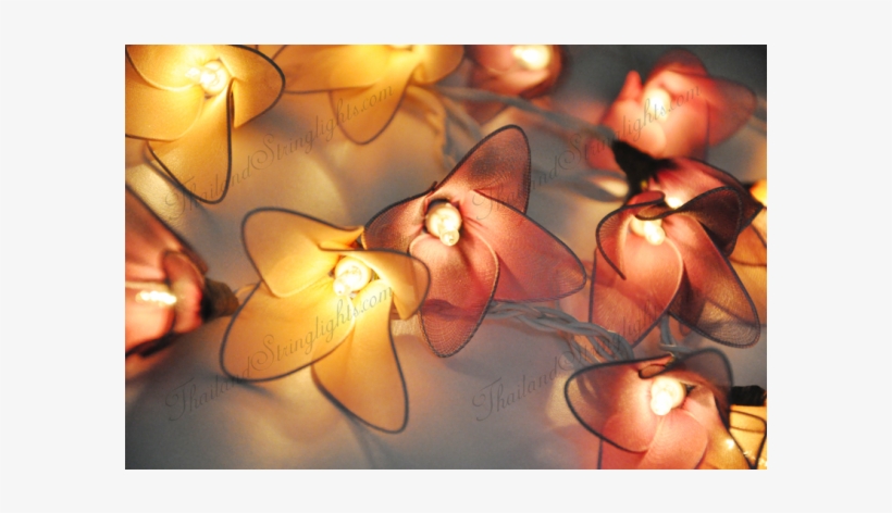 Light Bulb, transparent png