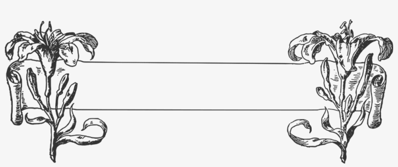 Png - Ring, transparent png