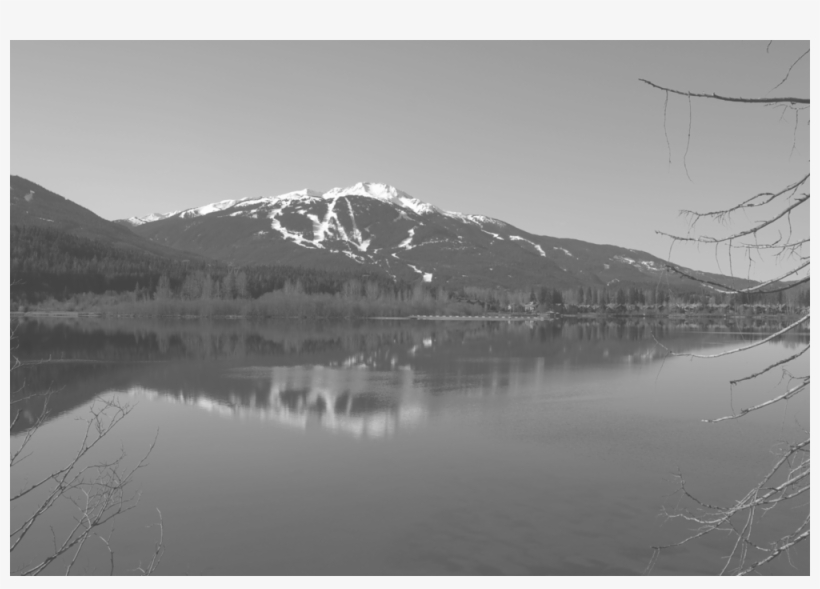 Banner Photo Screened, transparent png