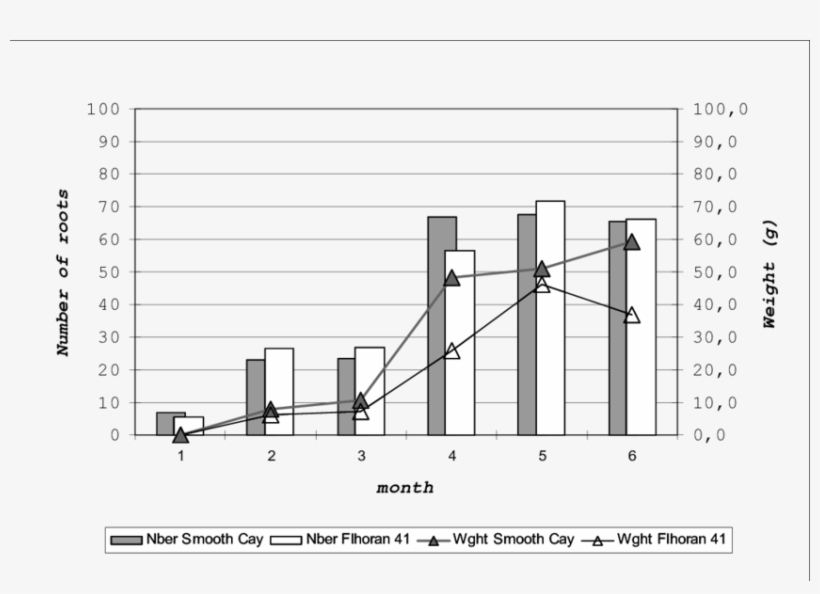 'smooth Cayenne' Pineapple 'd' Leaf Fresh Weight - Diagram, transparent png