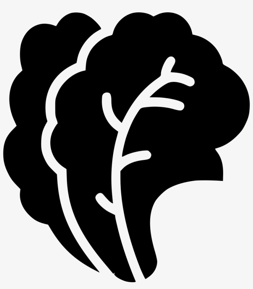 Png File - Salad Vector, transparent png