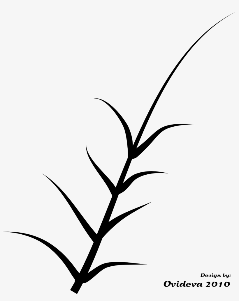 Black And White Plant - Graphics, transparent png