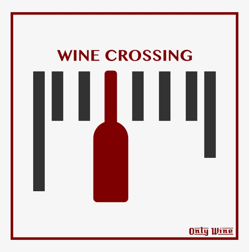 Wine Label Logo Bottle - Wine, transparent png