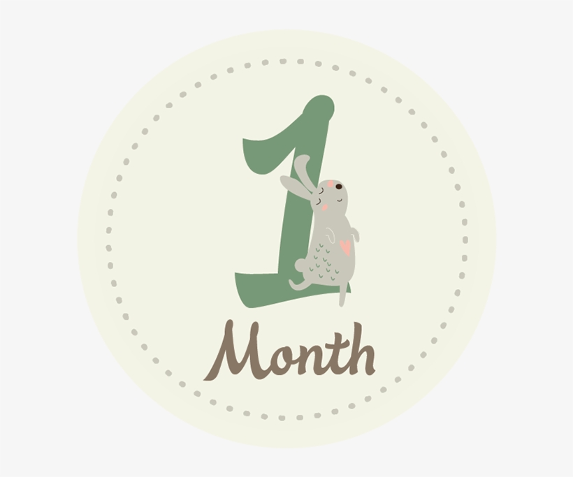 Baby Belly Png Pluspng - Label, transparent png