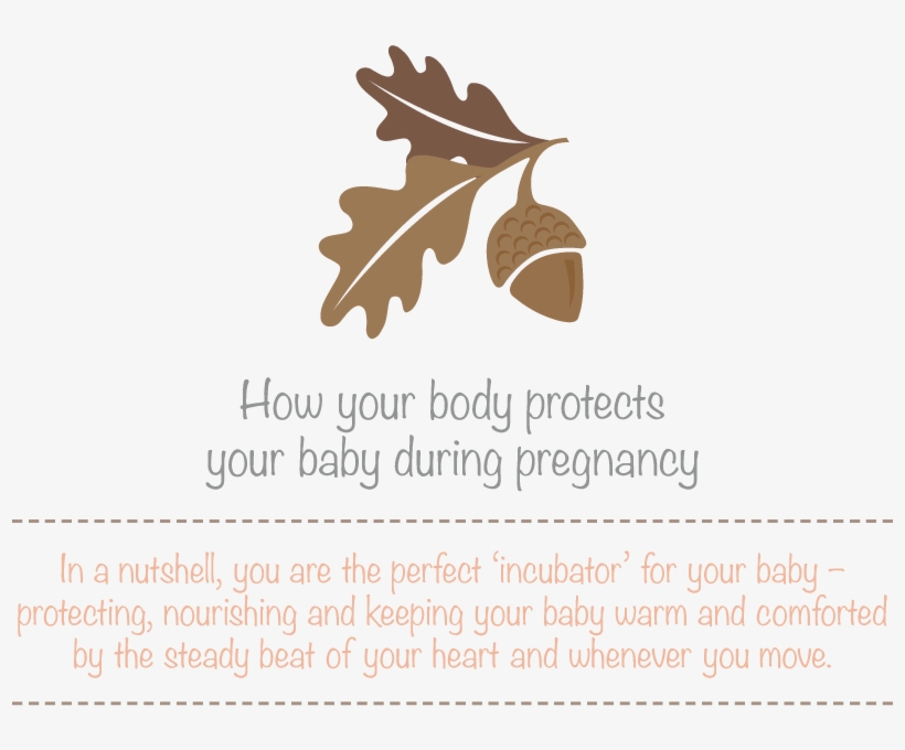 During Pregnancy, Your Baby Needs Protection From Germs, - White Oak, transparent png