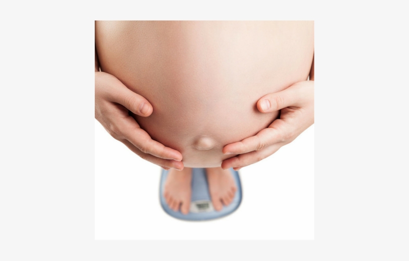 All Stages Of Pregnancy - Pregnant Weight, transparent png