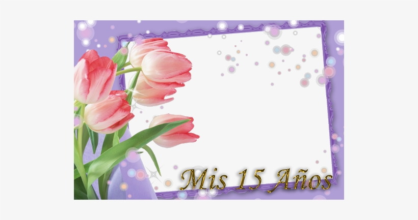 Marcos Mis 15 Años - Marcos Para Quinceañeras Png, transparent png