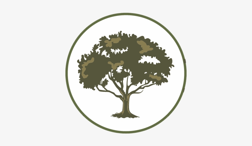 The Advantages Of Tree Care And Maintenance - Colossians 2 7, transparent png