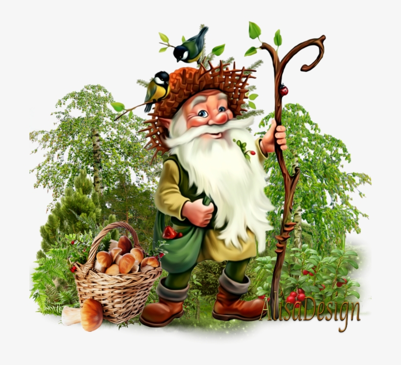 Thumb Image - Foraging. The Ultimate Beginners Guide: Discover Everything, transparent png