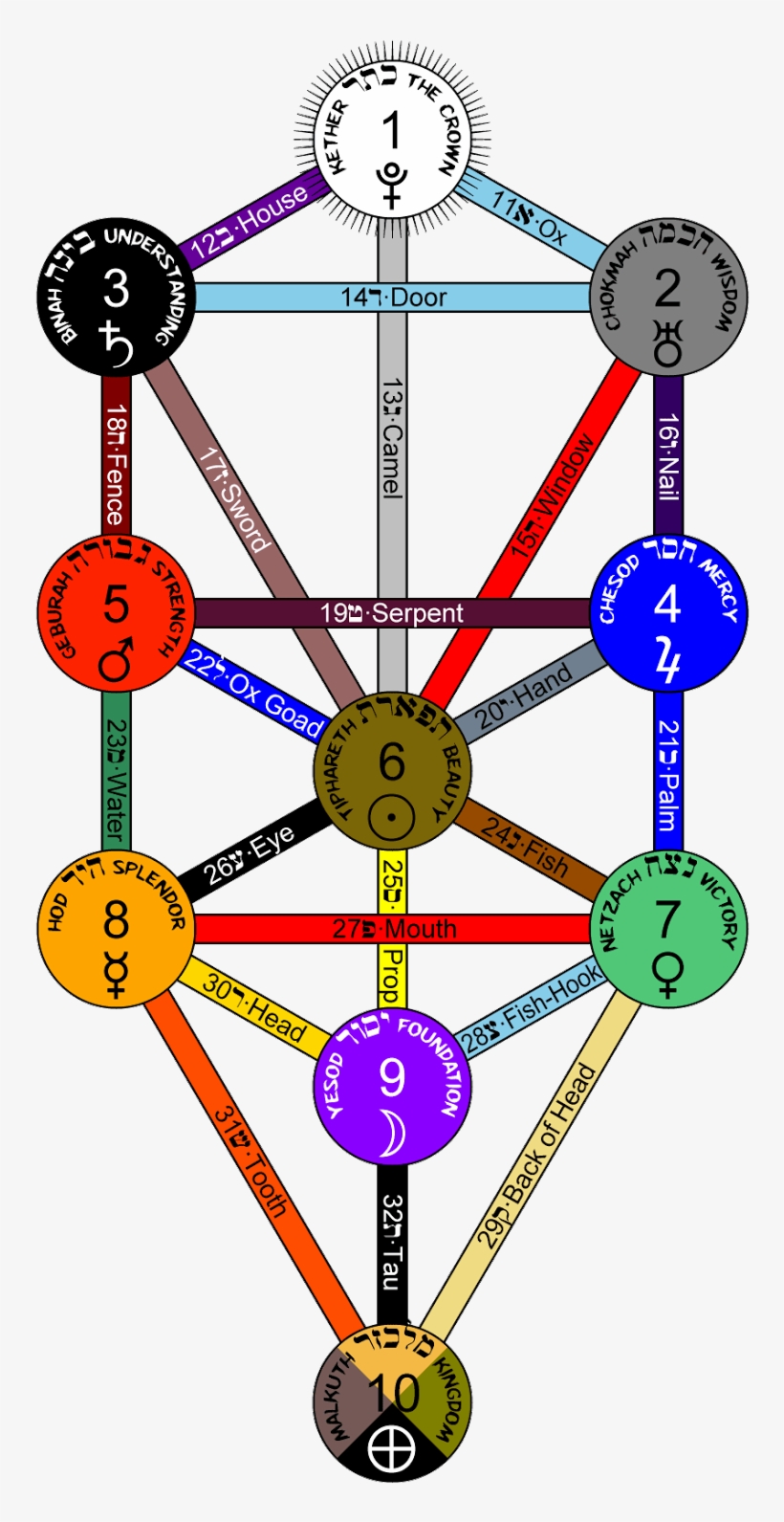 Above Picture Has Tree Of Life And Its Overall Connections - Hidden Treasures Of The Ancient Qabalah, transparent png