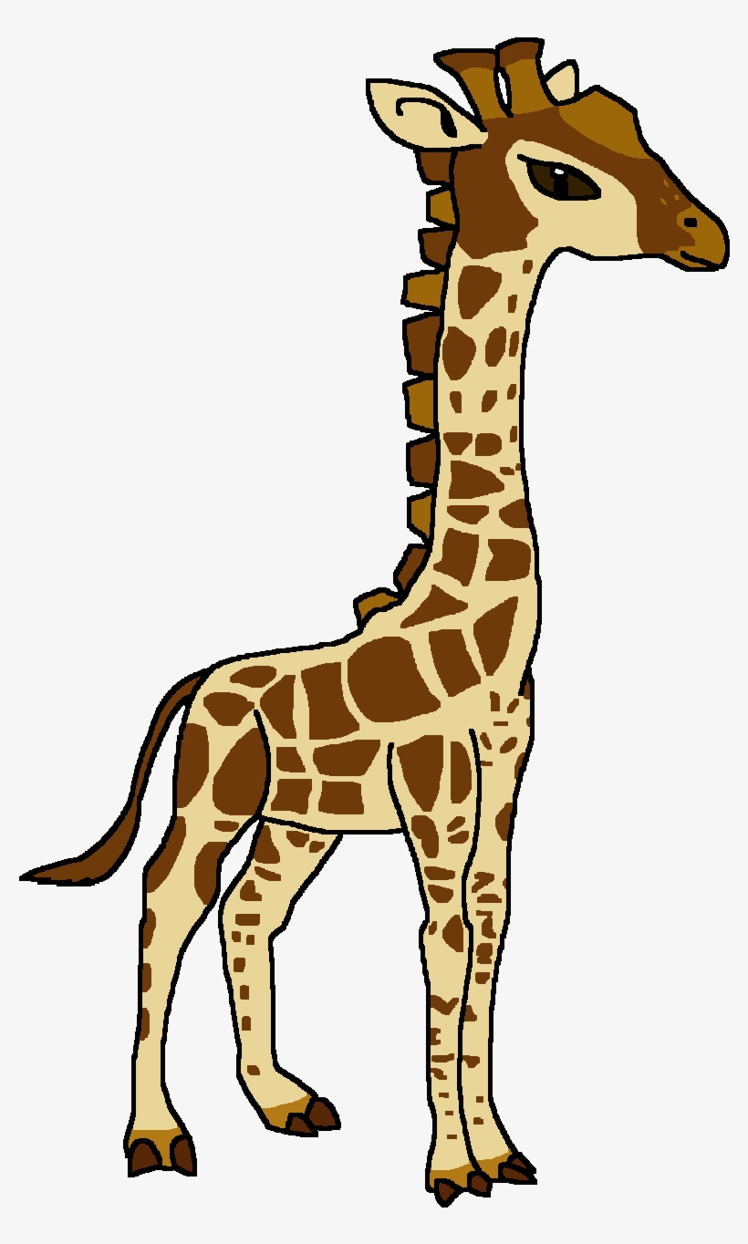 Angolan Giraffe, transparent png