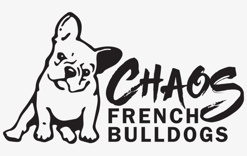 Chaos French Bulldogs - Love My Frenchie Mug - French Bulldog Lover Gift, transparent png
