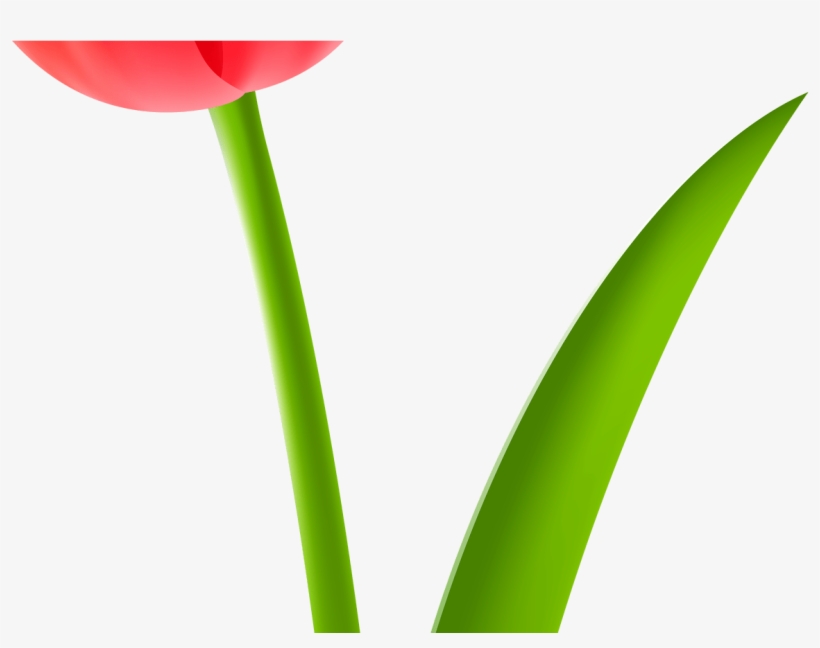 Red Tulip Transparent Clip Art Image Gallery Yopriceville - Tulip, transparent png