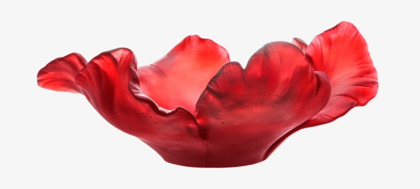 Red Tulip Bowl, transparent png