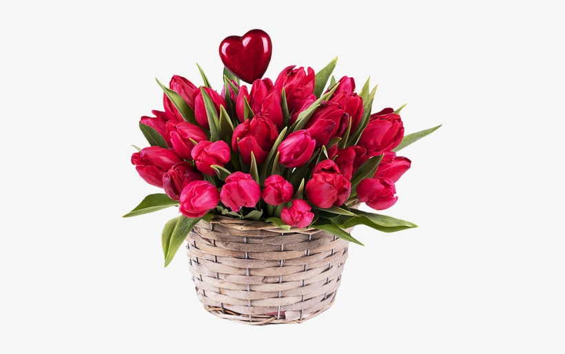 Red Tulips - Tulip, transparent png