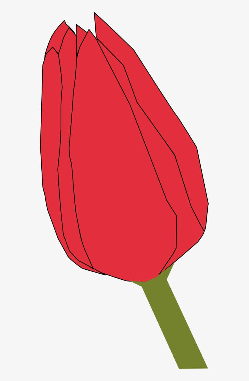 Red Tulip Bud - Closed Flower Clipart, transparent png