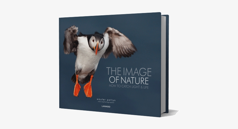 Key Facts Title - Nature: How To Catch Light, transparent png