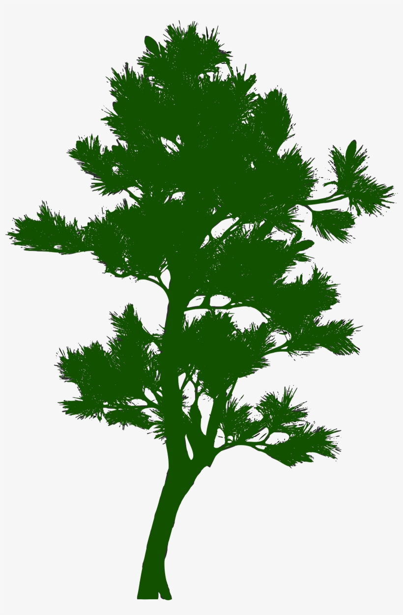 This Free Icons Png Design Of Silhouette Arbre 06, transparent png