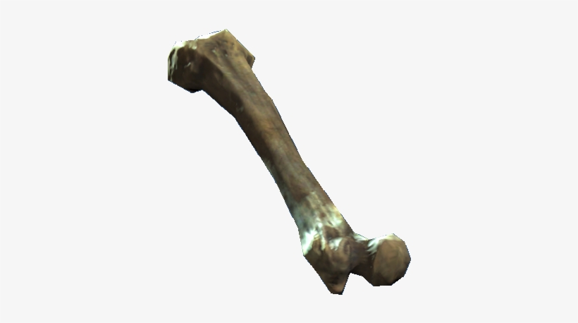 Femur - Femur Png, transparent png