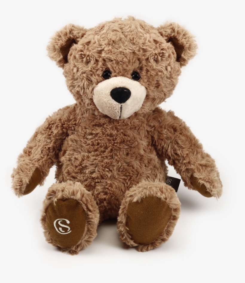 Urso-marrom - Ursinho Da Cacau Show, transparent png