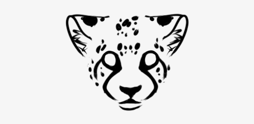Photo, transparent png