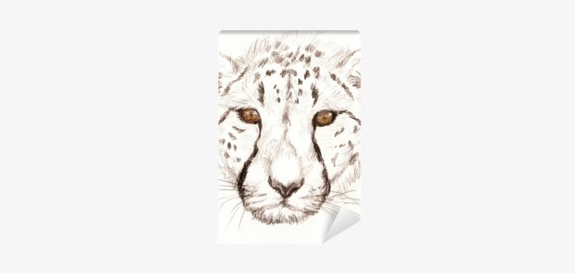 Colored Pencil Sketch Of A Cheetah Wall Mural • Pixers® - Leoparder Som Man Kan Rita, transparent png