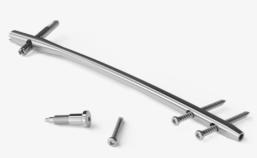 Byn "y" Femur Intramedullary Or - Intramedullary Rod, transparent png