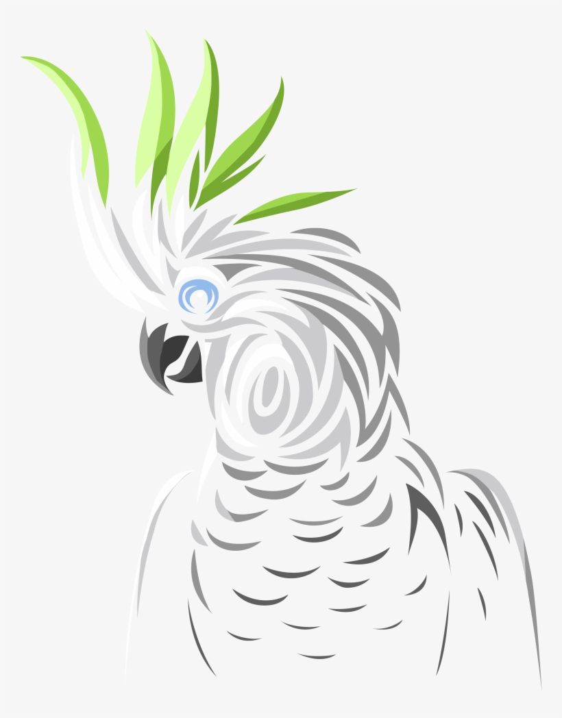 Parrot Birds Tribal Cockatoo Art, transparent png