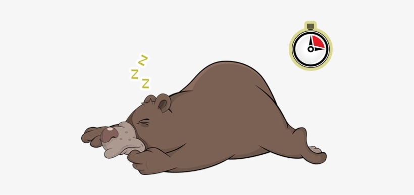 De Acordo Com O Texto Ao Lado, Quantas Horas Os Ursos - Drawing, transparent png