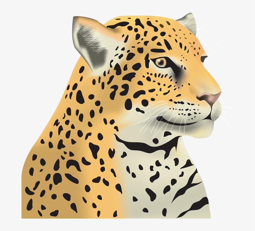 Juniper Elementary School, transparent png