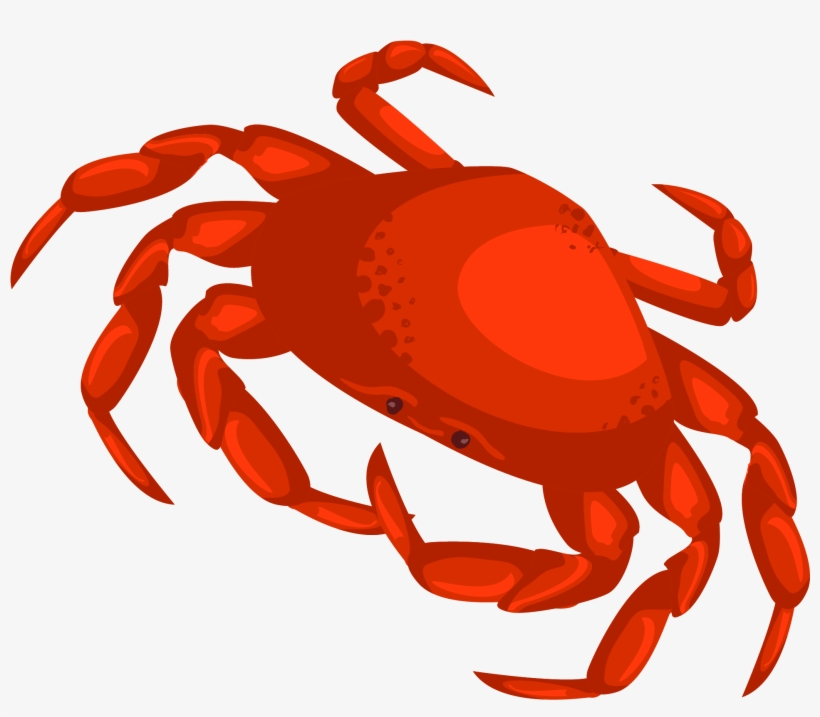 Drawn Crab Transparent - Crab Vector Png, transparent png