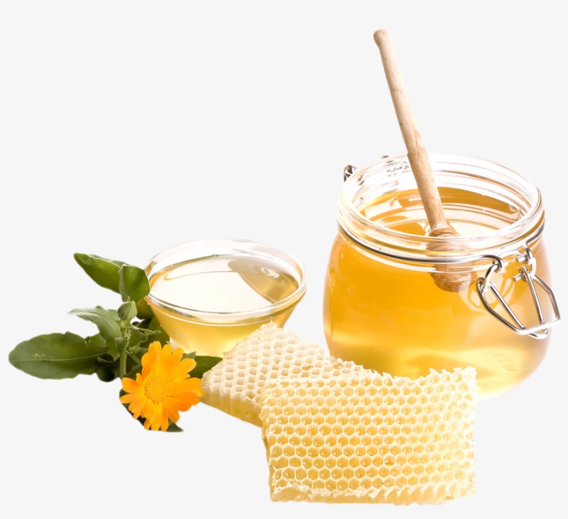 Mini Wood Honey Dipper Sticks 3 Inch Individually Wrapped, transparent png