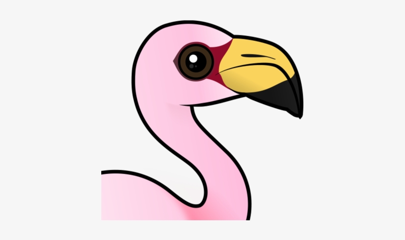 About The James's Flamingo - James's Flamingo, transparent png