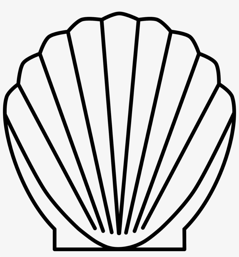 Clip Art Sea Shell, transparent png