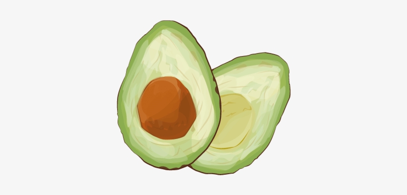 Avocado, transparent png