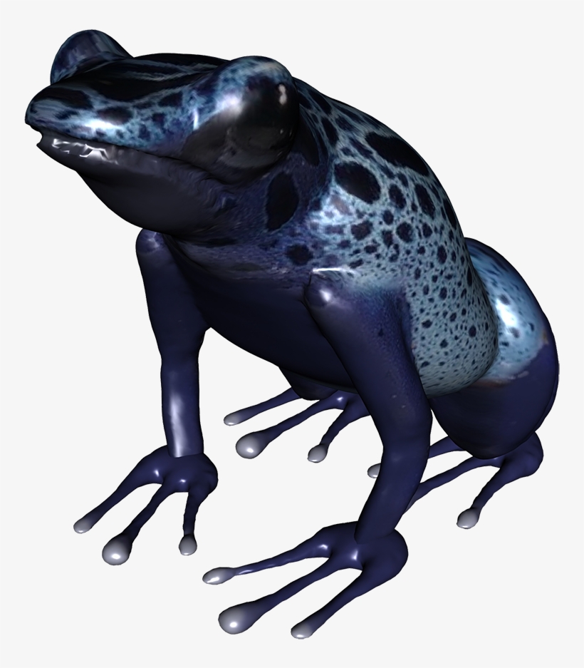 Clip Royalty Free Stock Clip Art Underside Of Png Blue - Poison Dart Frog Png, transparent png