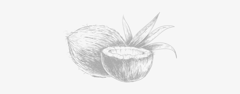 Herbed Gnocchi, transparent png