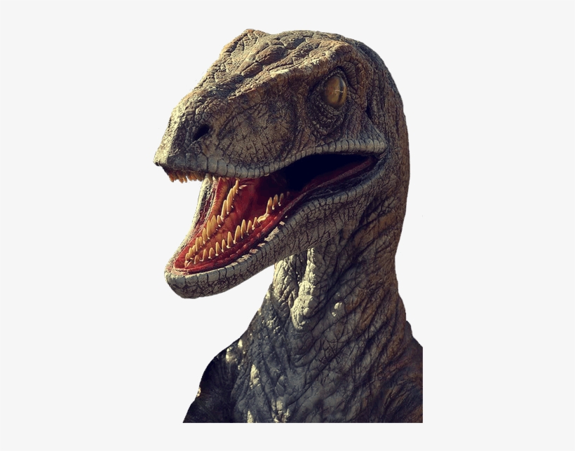 Dinosaur In Png - Velociraptor Jurassic Park, transparent png