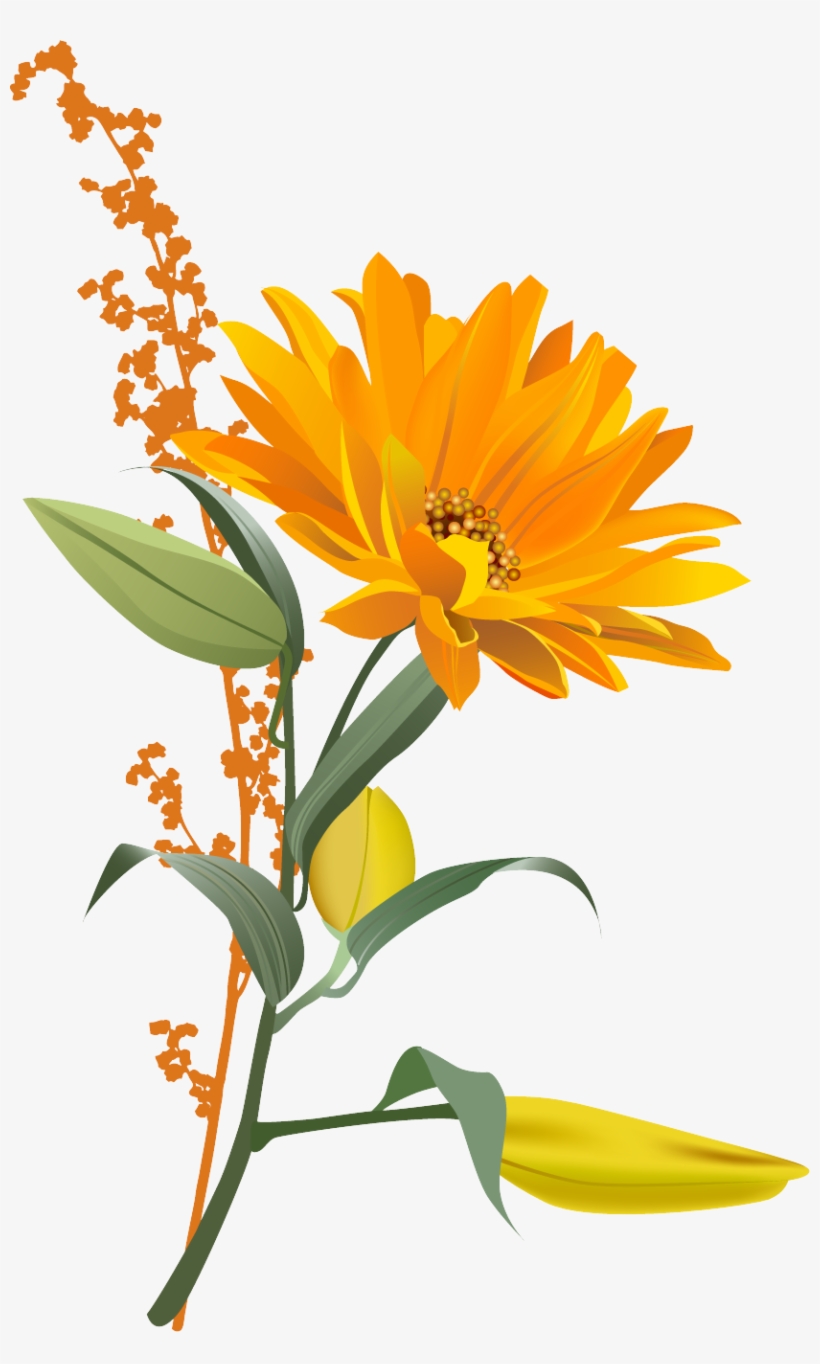 Sunflower - 4 Kinds Of Flowers, transparent png