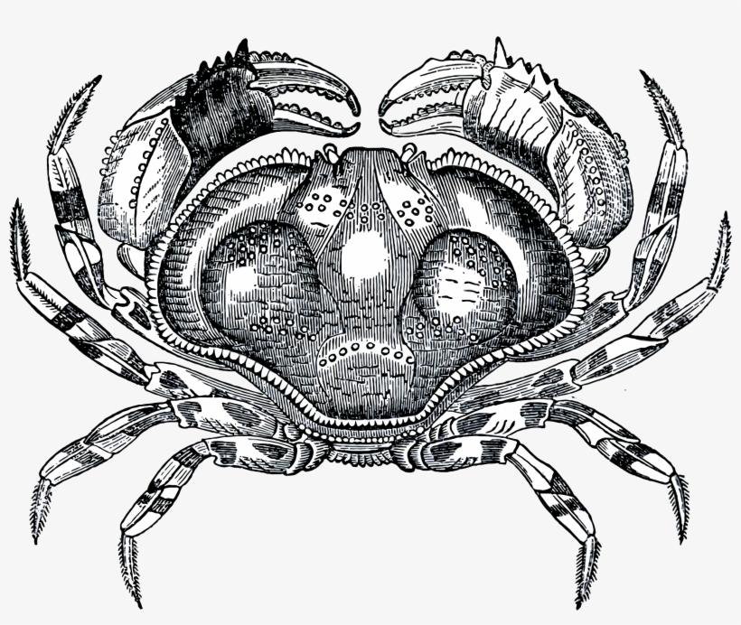This Free Icons Png Design Of Grayscale Crab, transparent png
