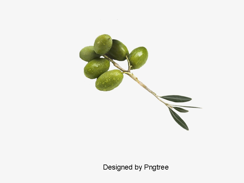 Green Olives, Olive Oil, Olives, Creative Olive Oil - Olive, transparent png