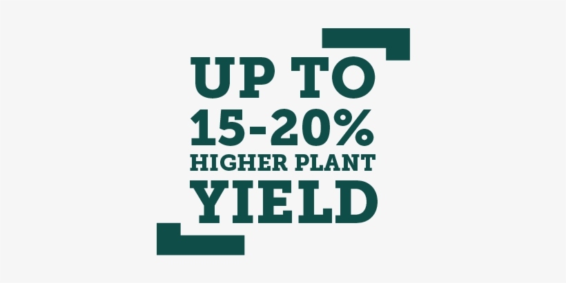 Up To 15 20% Higher Yield - Poster, transparent png