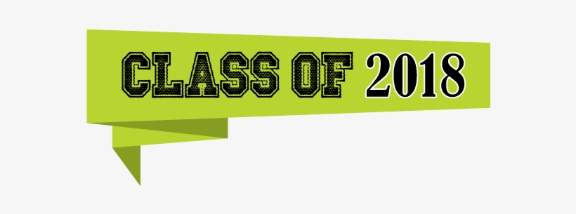 2018 - Disaster Party, transparent png