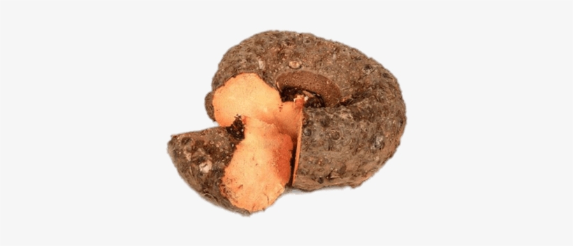 Vegetables - Elephant Yam, transparent png