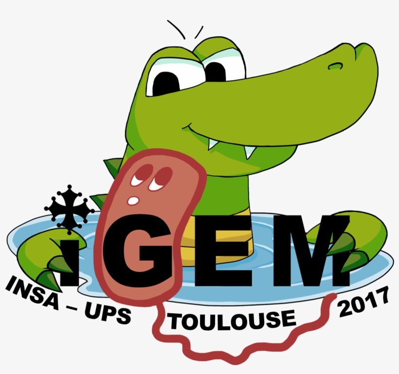 Team - Insa-ups France/microbioworld - 2017 - Igem - International Genetically Engineered Machine, transparent png